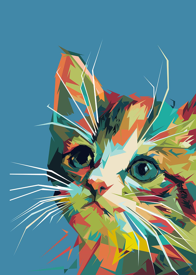 Kitten