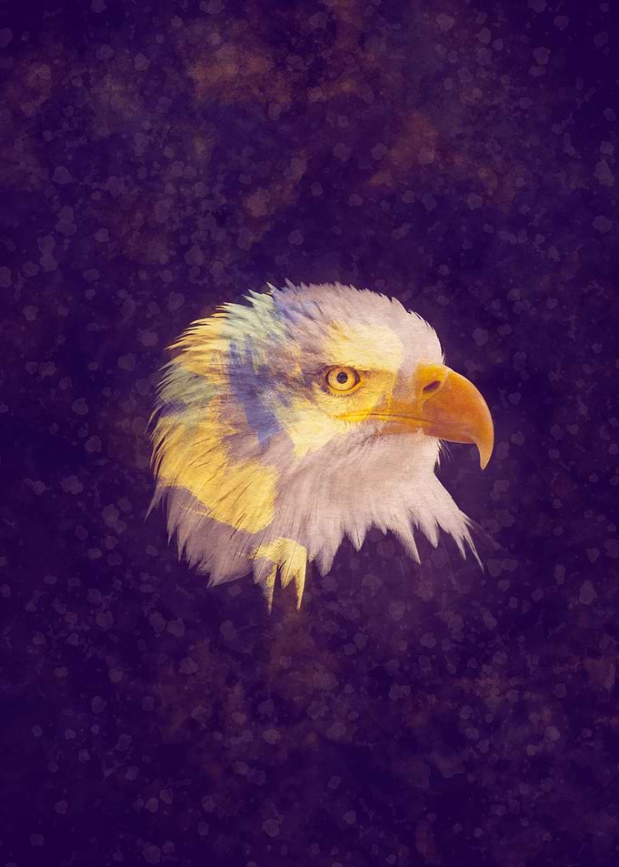 Eagle