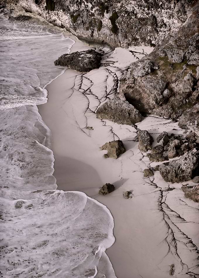 Cliff Top Sargasso