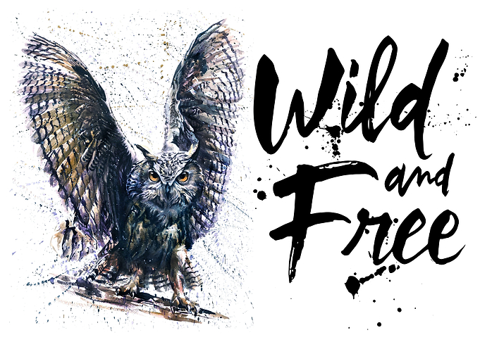 Owl wild and free