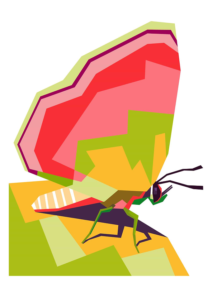 Butterfly Pop art