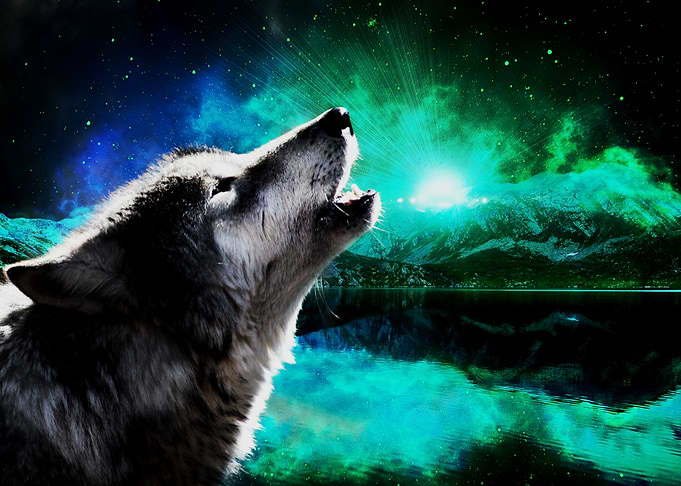 Wolf Galaxy