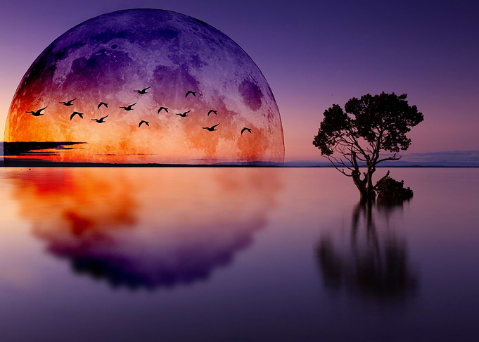 Tree with moon