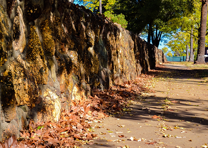 Fall Path