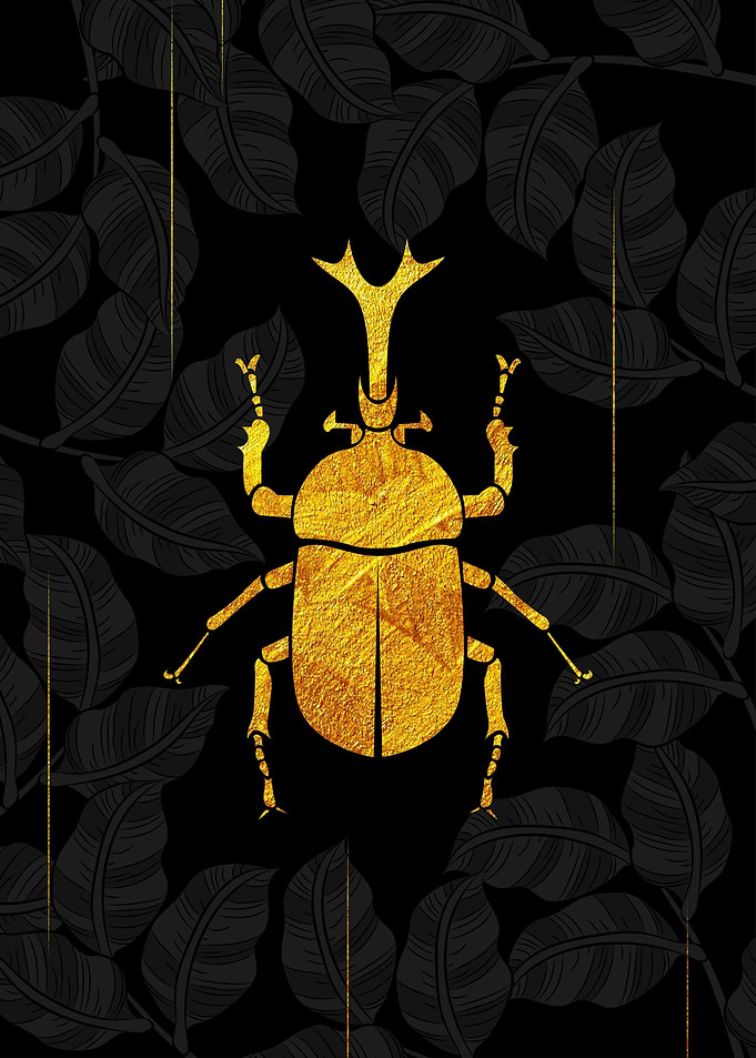 Golden Rhinoceros Beetle
