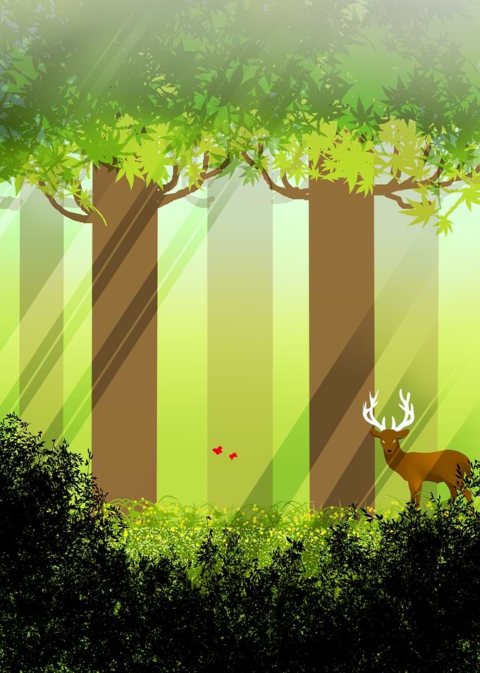 Green Forest