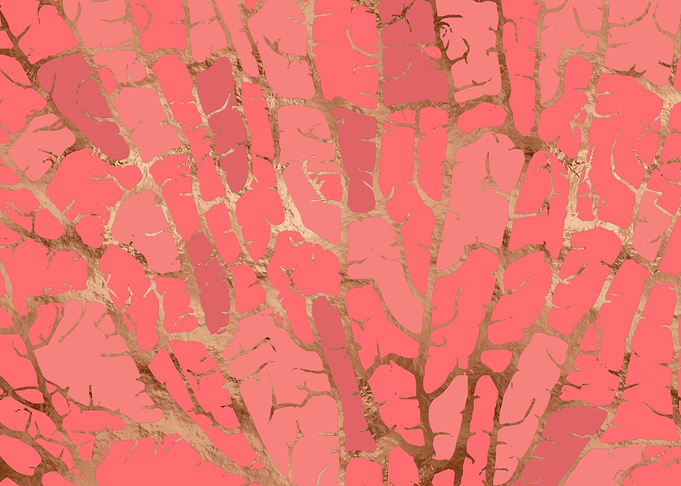 Living Coral Abstract