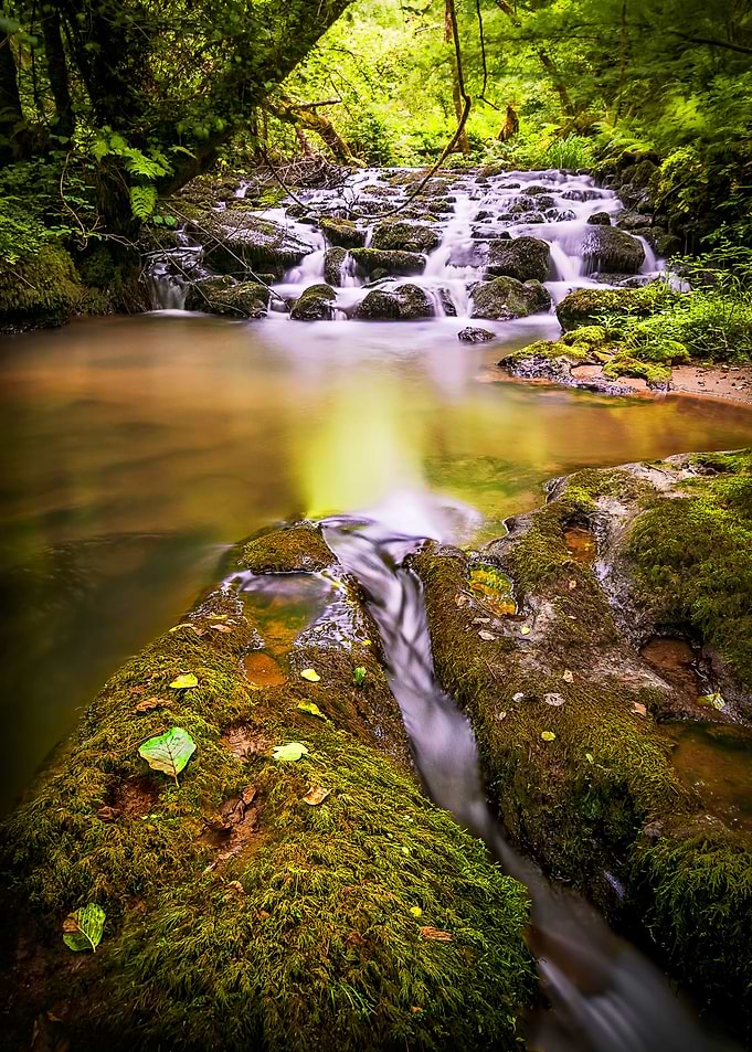Wild water