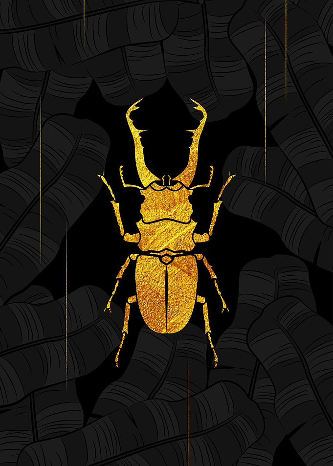 Golden Stag Beetle