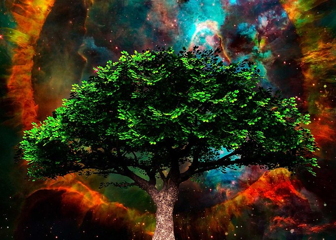 Tree of Life
