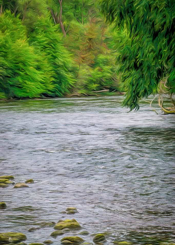 Serenity River