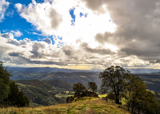 The Hills