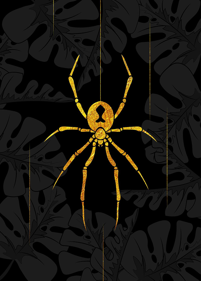 Golden Spider
