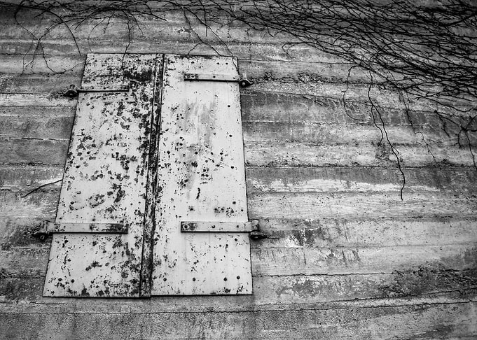 The Window