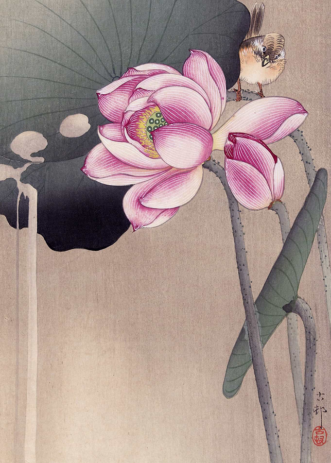 Songbird and Lotus