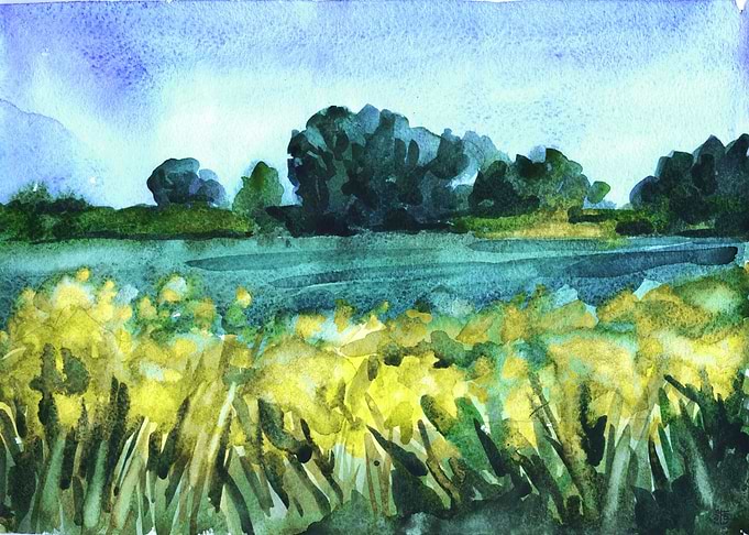 Meadow