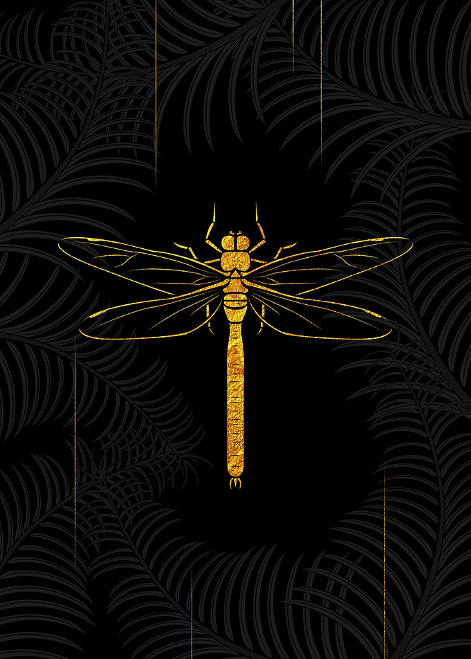 Golden Dragon Fly