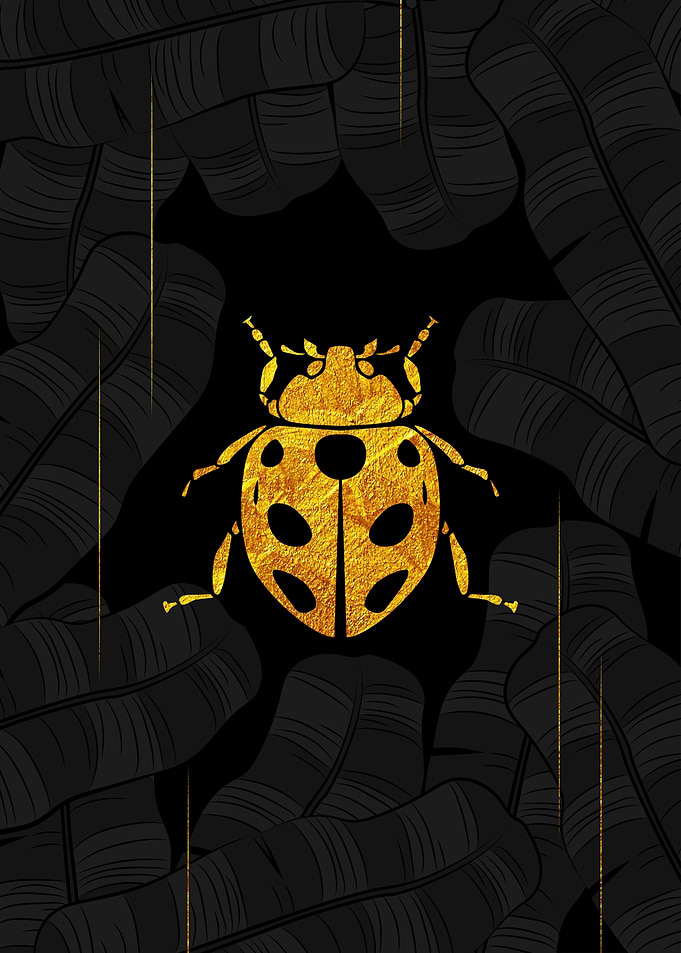 Golden Ladybug