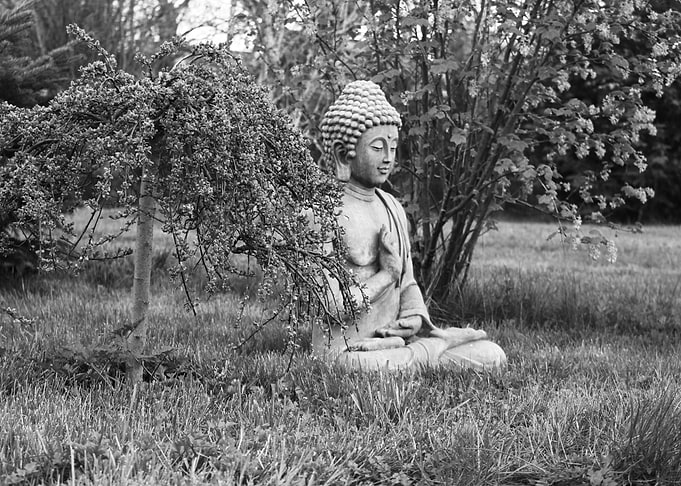 Buddha in the garden