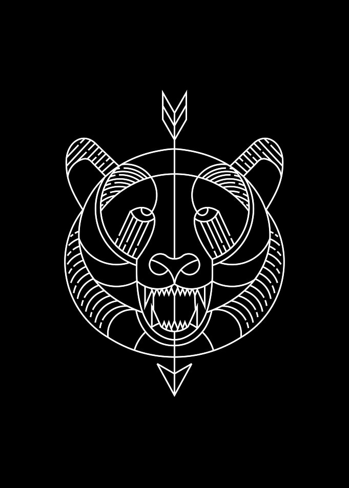 Wild Bear