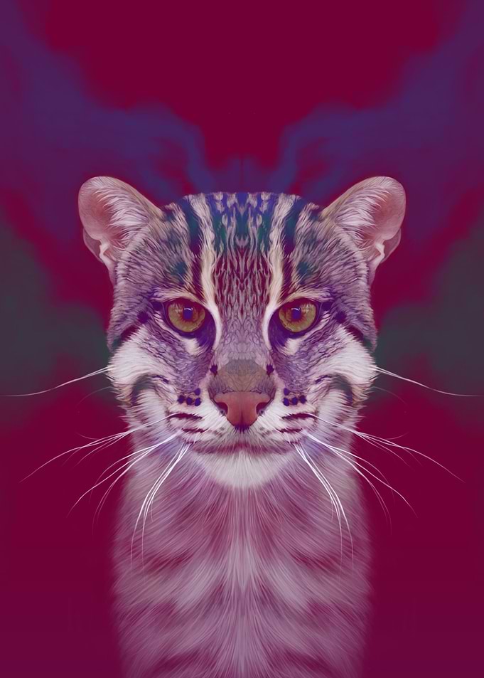 The Doughty Fishing Cat