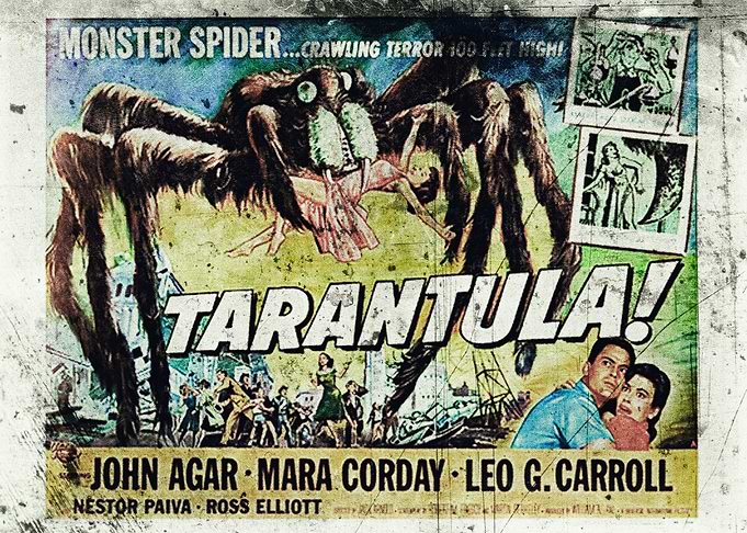 Tarantula 1955