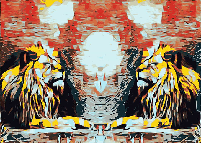 lion face to face