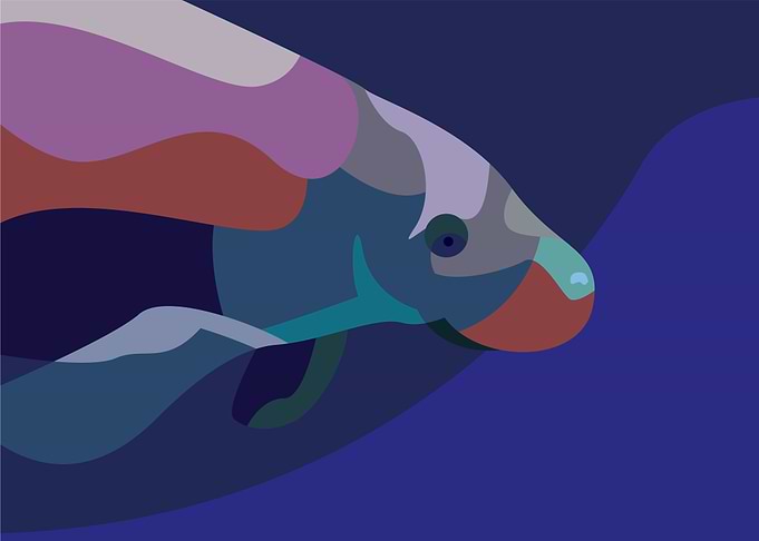 Manatee