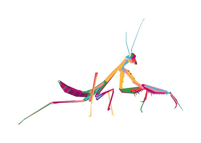 Praying Mantis