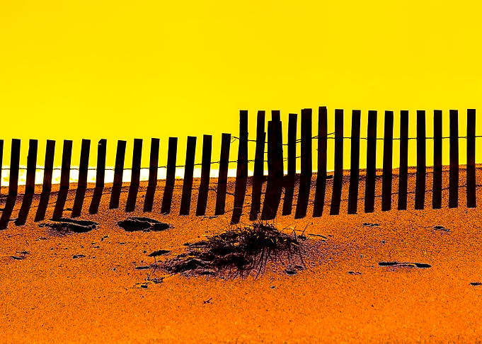 Beach Fence