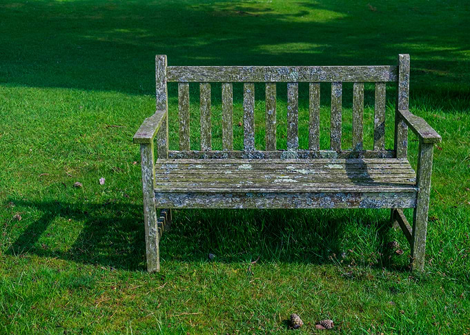 The Moss Bench