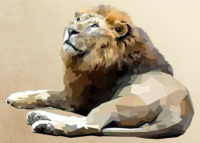 lion lying down