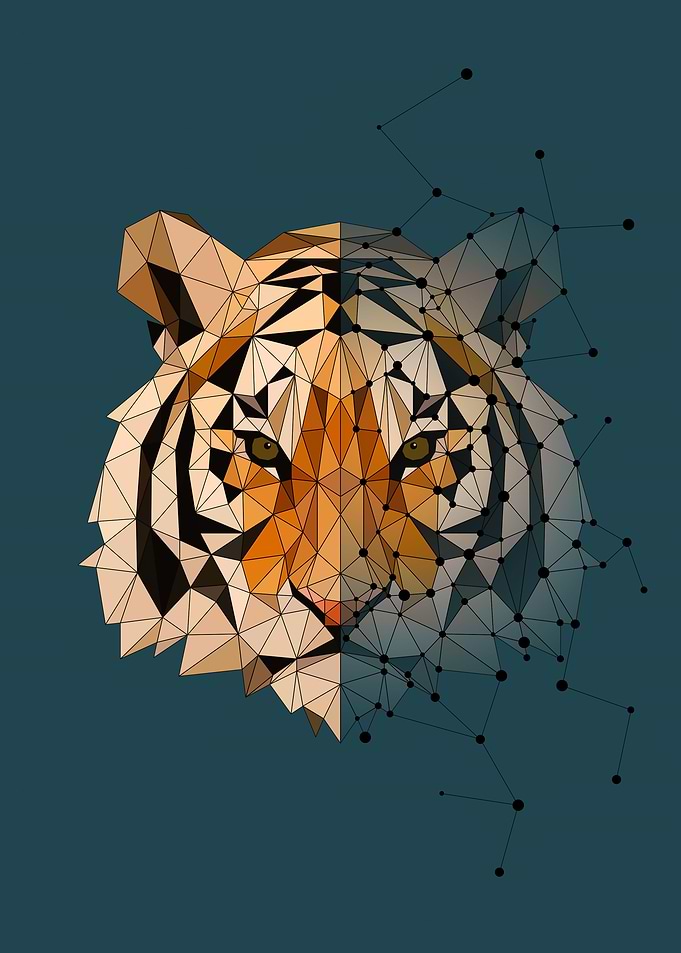Tiger Constellation