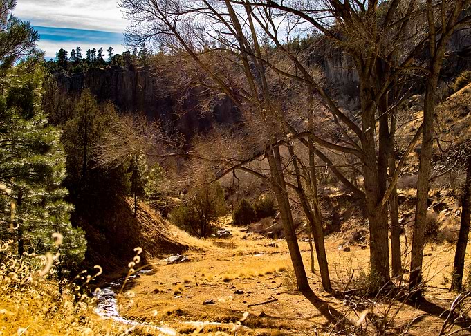 Bear Canyon