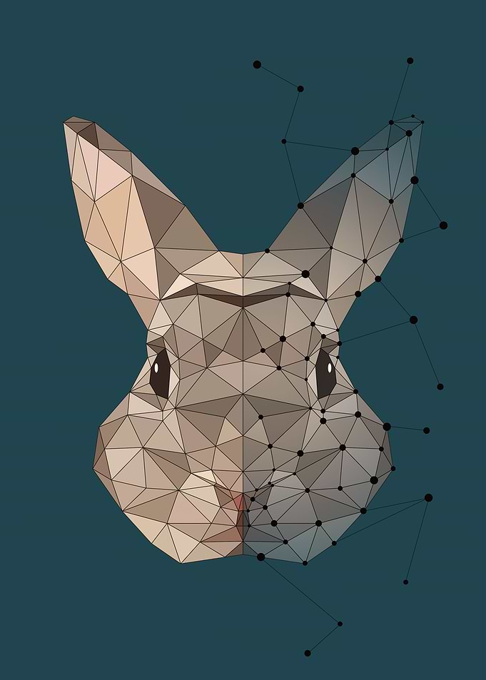 Rabbit Constellation