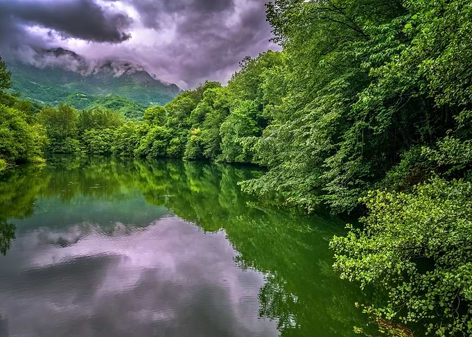 Lake in a forest