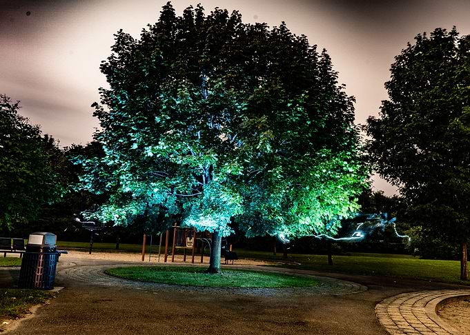 Enchanted tree