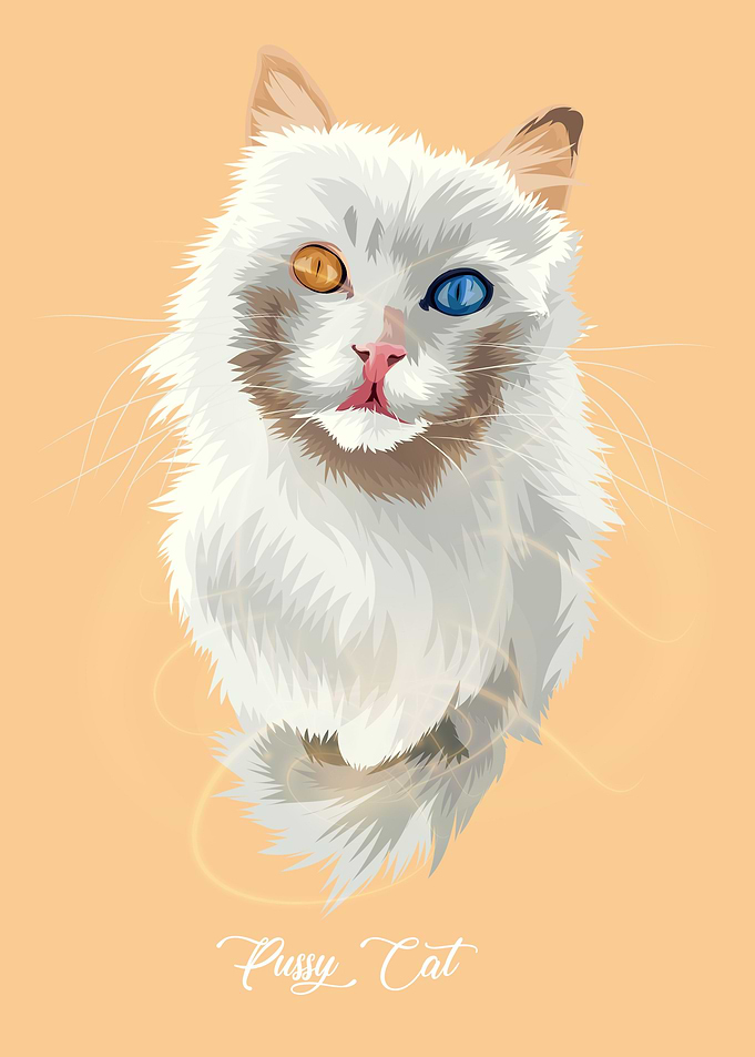 Funny Cat