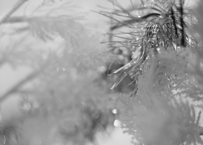 Christmas BW