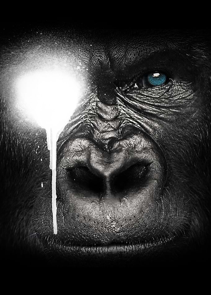 King Monster