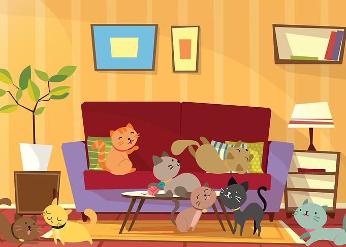 FULL OF CAT