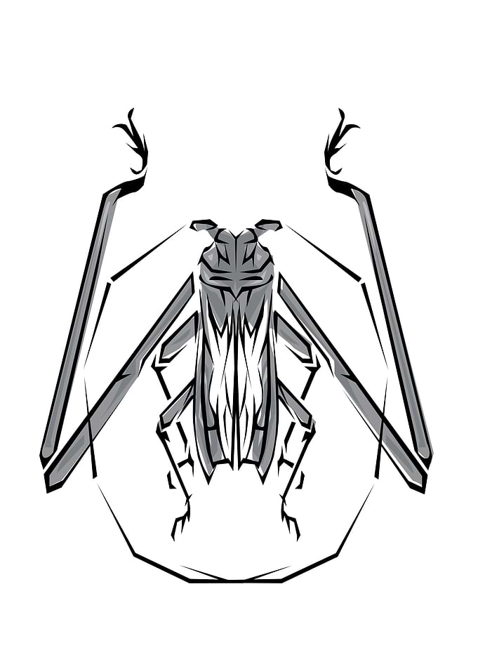 Insect Tribal Style