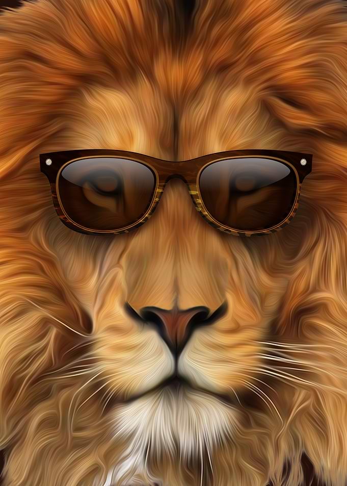 king Cool