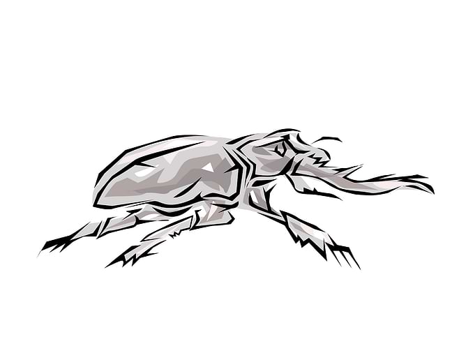 Insect Tribal Style