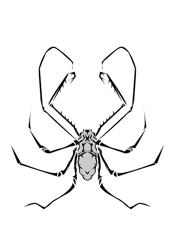 Insect Tribal Style