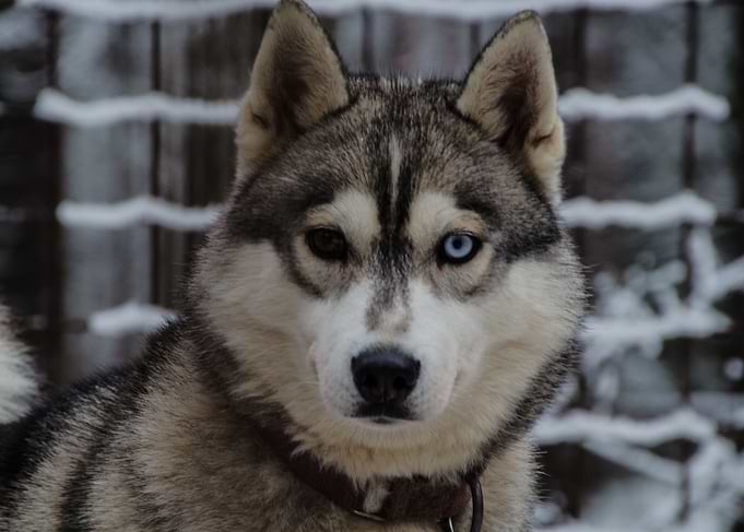 That look