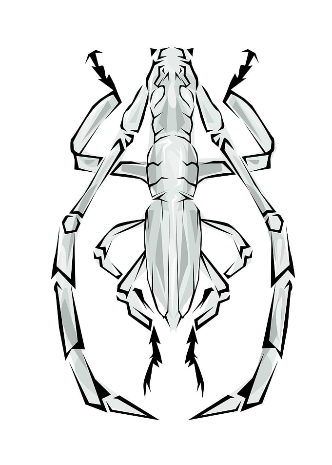 Insect Tribal Style