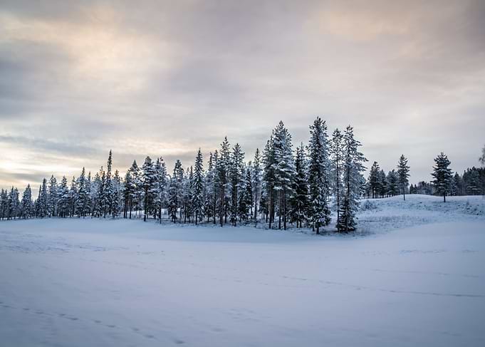 Rovaniemi