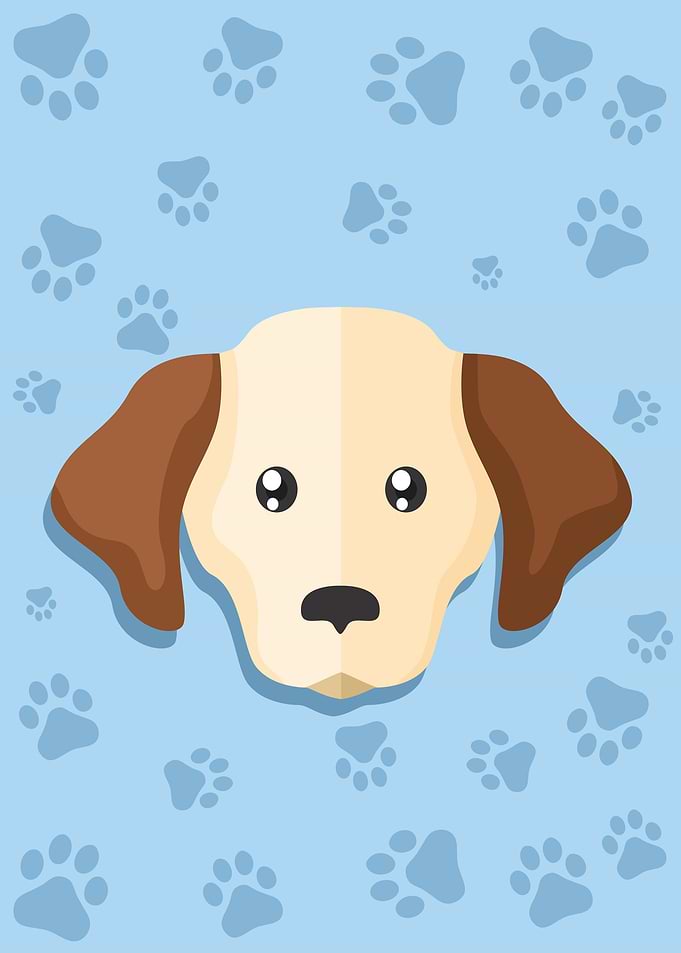 Cute Dog Head