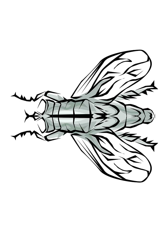 Insect Tribal Style